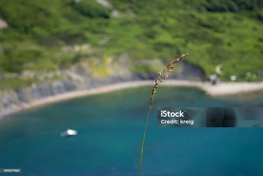 Pieza de hierba con vista al mar - Foto de stock de Acantilado libre de derechos