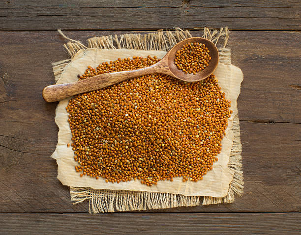 istock Whole brown millet pile with a spoon 499378082