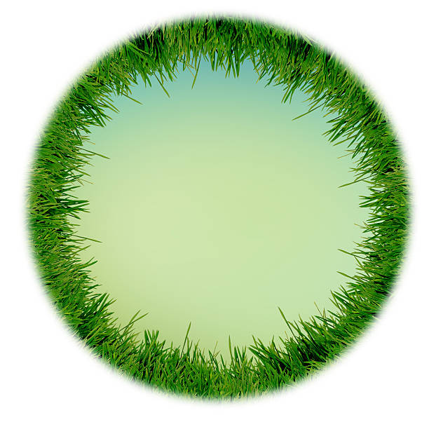 istock isolated fresh green grass on white background 499378307