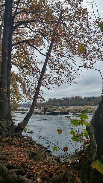 istock James River Rocks, Rapids from Belle Isle, Richmond, Virginia 499378530
