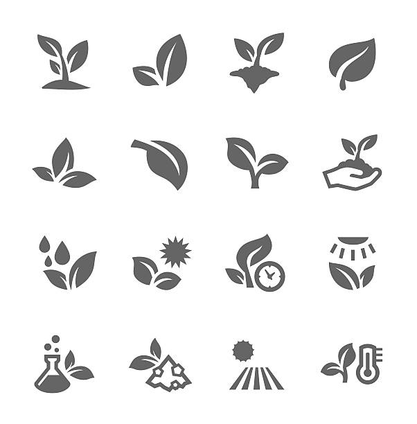 pflanzen icons - water drop leaf earth stock-grafiken, -clipart, -cartoons und -symbole