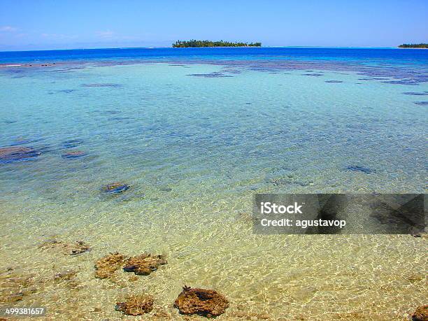 La Laguna Azul De Rangiroa Motu De Aguas Turquesas Tahiti Polinesia Foto de stock y más banco de imágenes de Agua