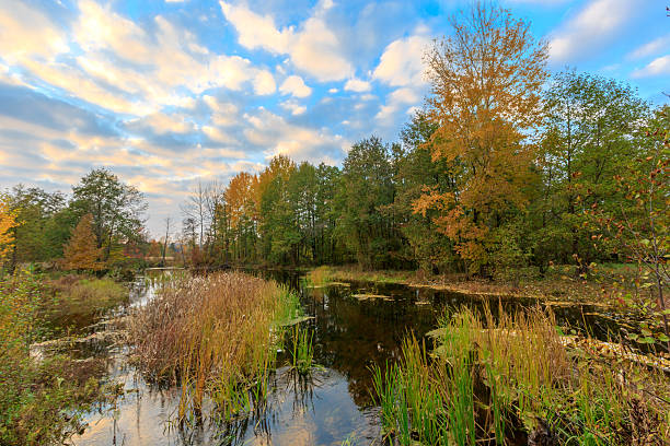 istock Autumn scene on lake 499383277