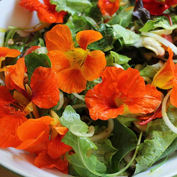 istock Salad, flowers salad, summer recipe 499383471