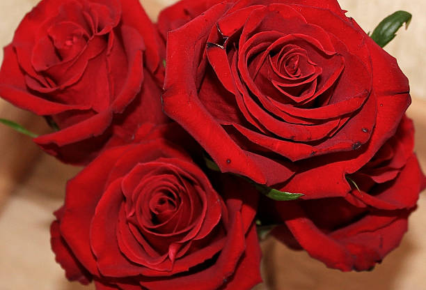 istock bouquet of red roses 499391360