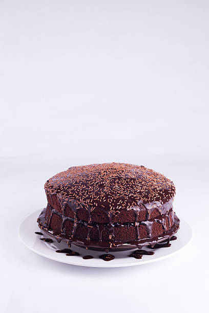 istock Luxurious Rich Chocolate  Cake on White Plate 499391930