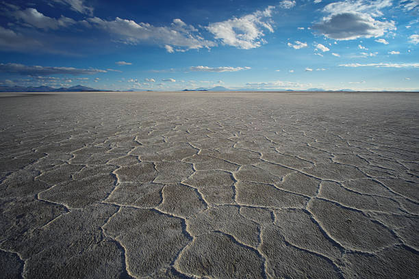 istock Salar de Uyuni in Bolivia 499394016