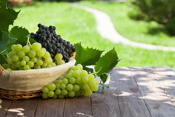 istock Red and white grapes in basket 499394402