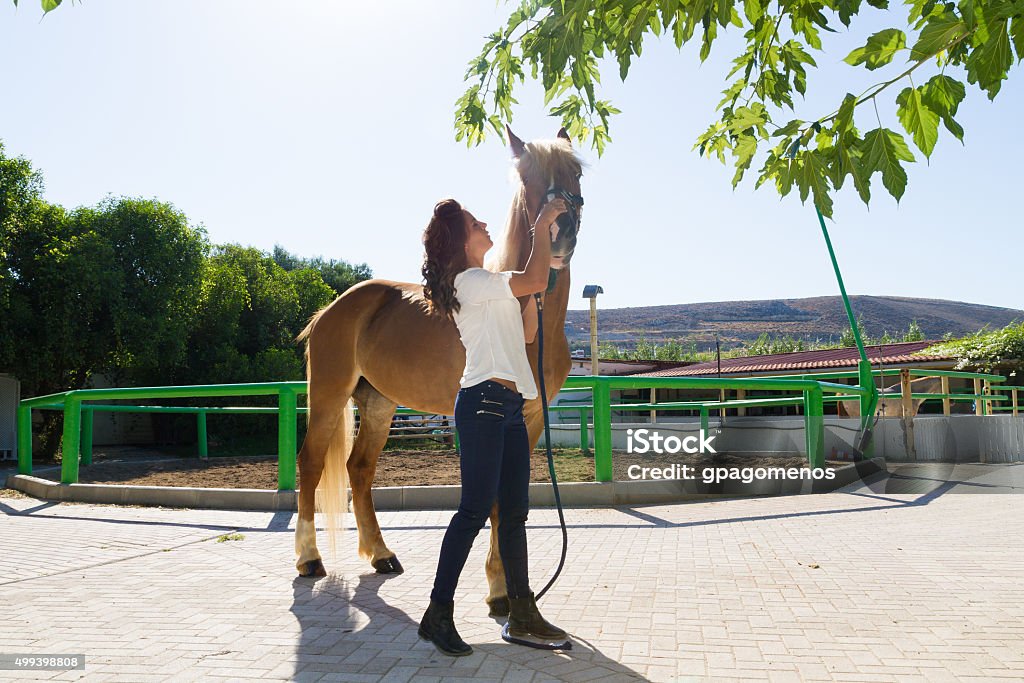 Attractive young woman grooming a horse at the stables Attractive young woman grooming and scrubbing a horse at the stables. 2015 Stock Photo