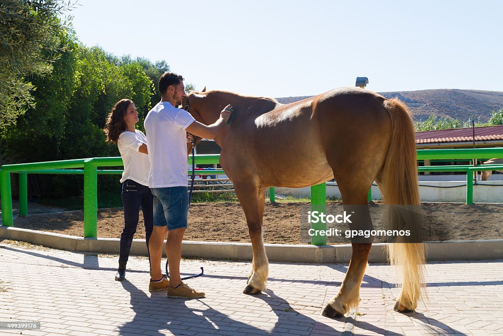 Grooming Essentials for Female Riders: Must-Have Tips & Tricks