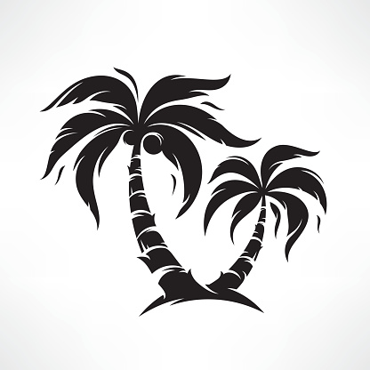 Palm tree