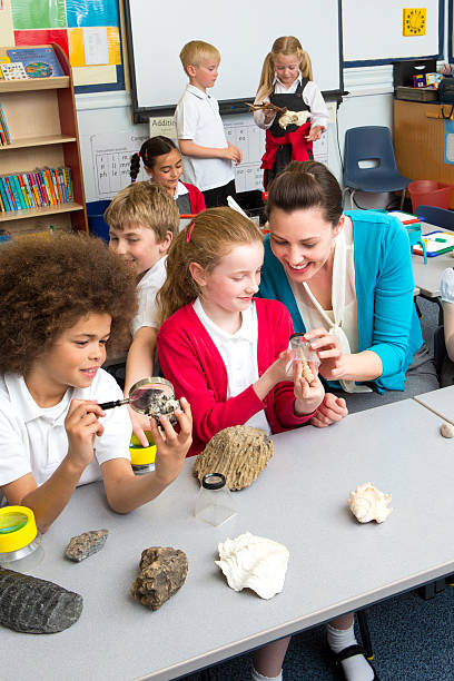 escola crianças em uma aula de ciências - science education school offspring - fotografias e filmes do acervo