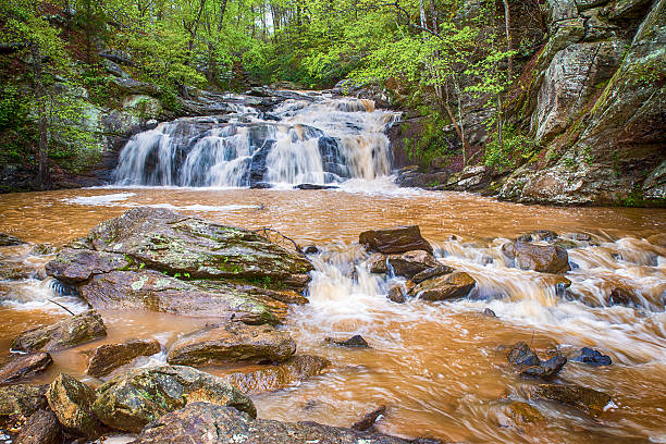 istock Waterfall in Georgia mountains near Atlanta 499400535