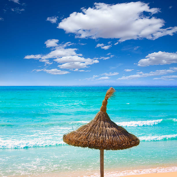 Tropical beach