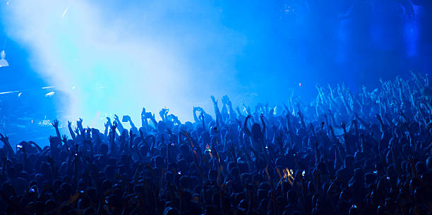 folla al concerto - concert crowd foto e immagini stock