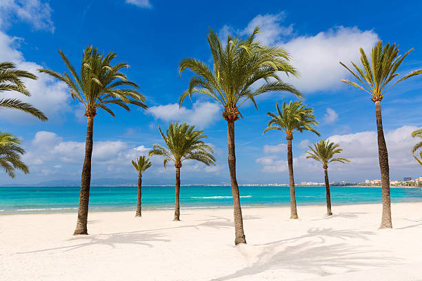 istock Majorca sArenal arenal beach Platja de Palma 499401690