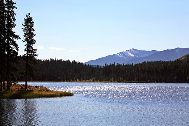 istock Twin Lakes in scenic Alberta 499402575