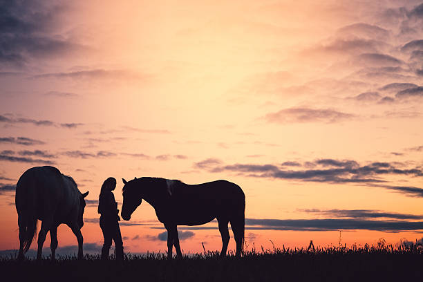 istock Woman With Horses At Sunset 499403432
