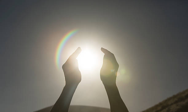 istock Sun and life - Stock Image 499403739