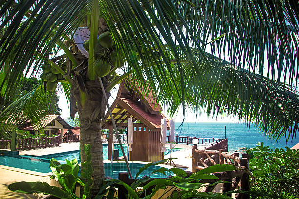 istock Swimming pool at luxury villa, Koh Phangan 499405007