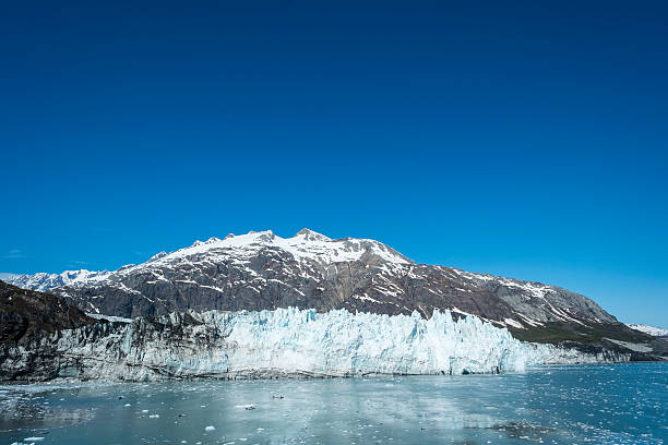 istock Glacier Bay National Park Alaska 499405861