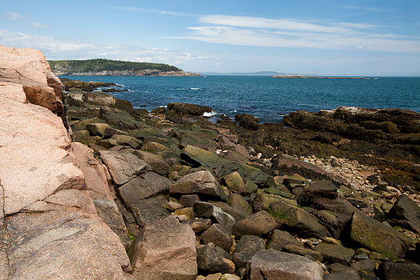 istock Thunder hole in Acadia National Park at Maine 499406861