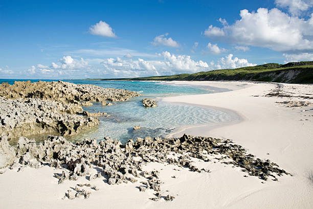 plage des surfeurs - eleuthera island photos et images de collection