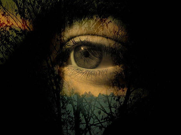 istock Eyes on the sun 499418827