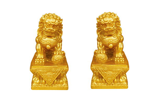 istock two goldren lions image isolated on white 499418829