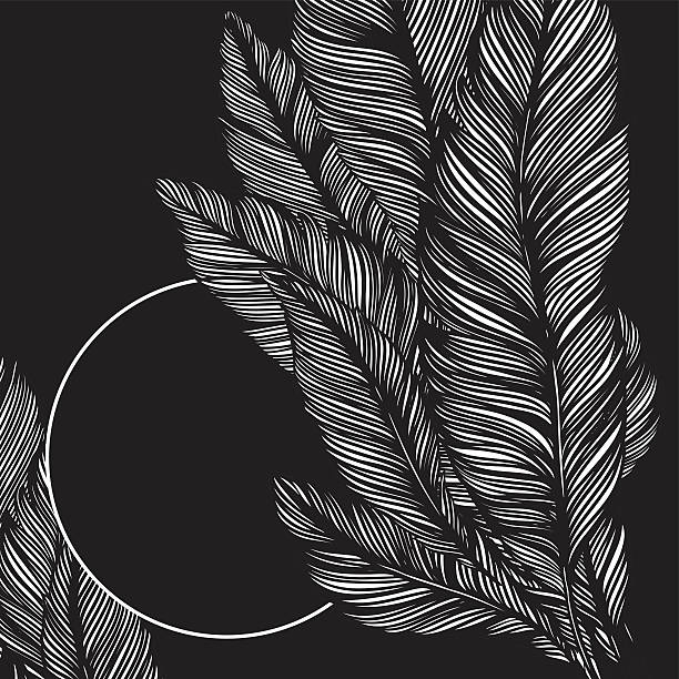 frame of feathers bird vector art illustration