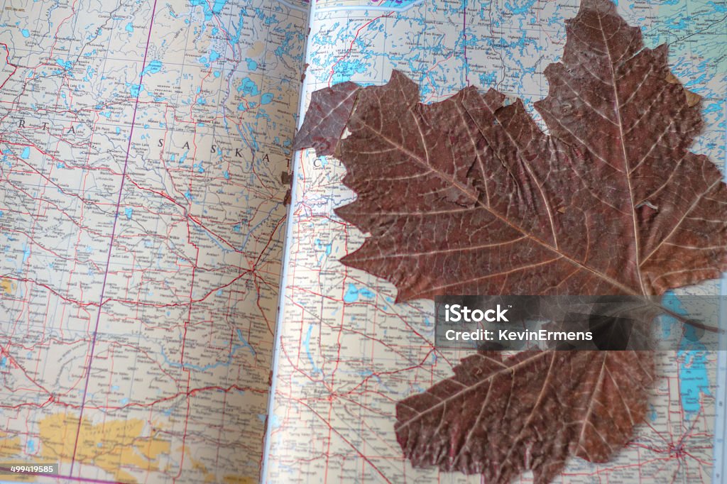 leaf in book an old leaf dried in a old map book Book Stock Photo