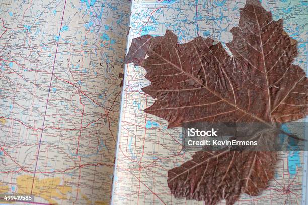 Leaf In Book Stock Photo - Download Image Now - Book, Breaking, Broken