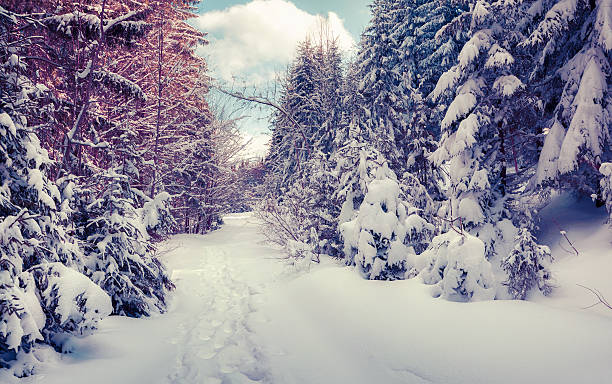 istock Snowy vinter road in the forest covered fresh snow 499420144