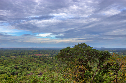 Landscape with tropical forest viewed from Sigiriya rock