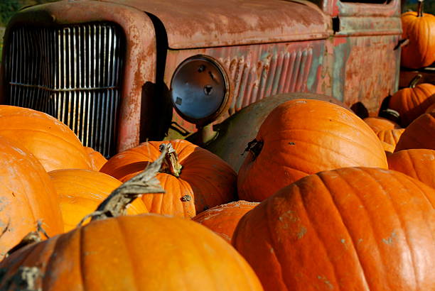 istock Pumpkins with a Vintage Truck 499421273
