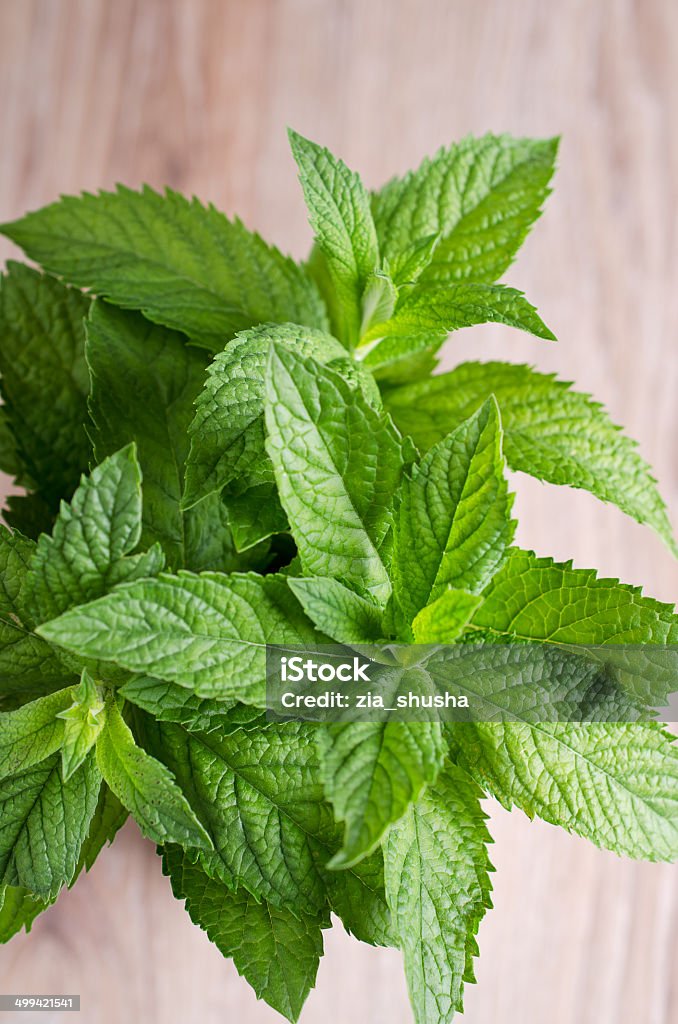 as green fresh mint branch, looking up Aromatherapy Stock Photo