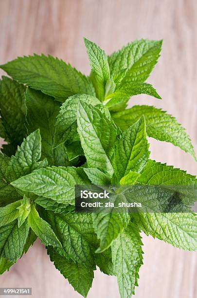As Stock Photo - Download Image Now - Aromatherapy, Branch - Plant Part, Chlorophyll
