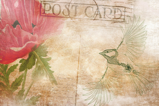 Vintage postcard background with bird and flower. Digital art.  Illustration for greeting cards, invitations, and other printing projects.