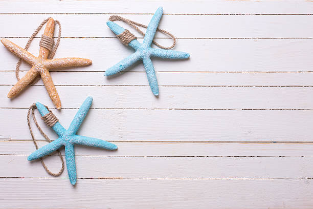 istock Marine items on wooden background. 499422740
