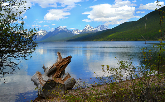 Glacier National Park landscape image. Taken to remember how precious our Earth is. 