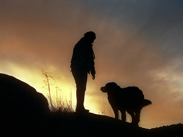 Young girl and her pet walking in the mountains at sunset
