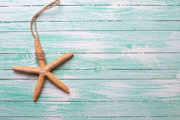 istock Marine items on wooden background. 499422846