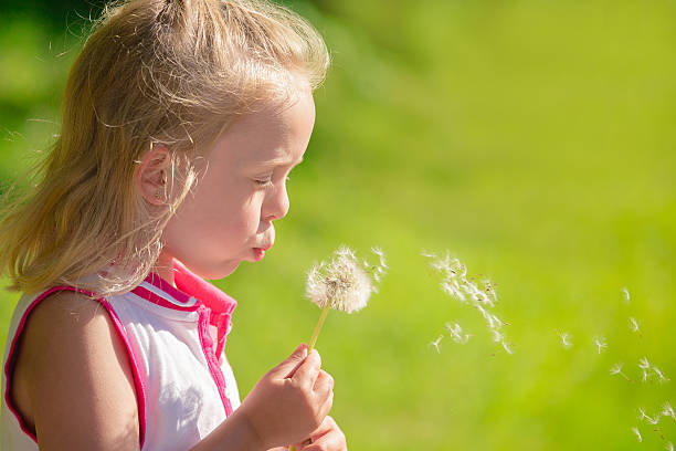 istock beautiful blond kid blow dandelion outdoor 499423151