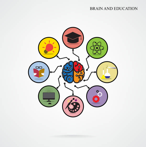 illustrations, cliparts, dessins animés et icônes de modèle de cerveau créatif infographie sur l'éducation - computer learning brain illustration and painting