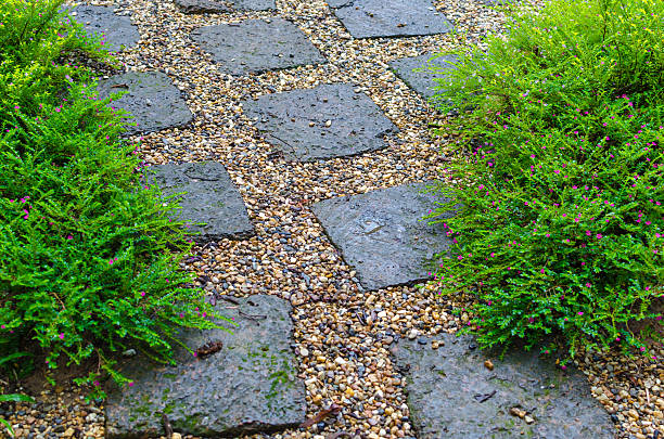 jardín en época de lluvia - single lane road footpath flower formal garden fotografías e imágenes de stock