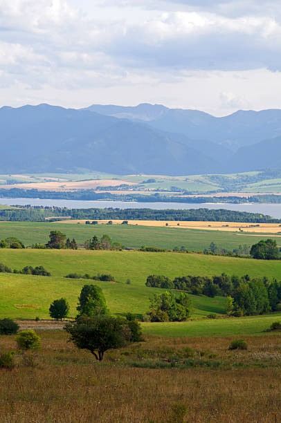 istock Nature landscape with meadow 499427214