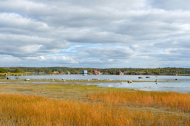 Lake Houses Colorful houseboats in Yellowknife Bay of Great Slave Lake, Yellowknife, NWT, Canada. great slave lake stock pictures, royalty-free photos & images