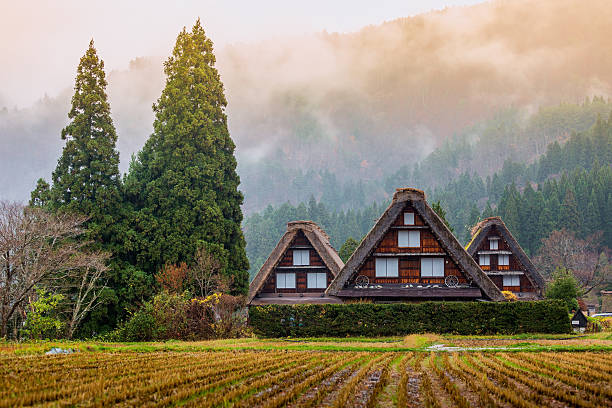 traditional and historical japanese village shirakawago in autum - hida bergketen stockfoto's en -beelden