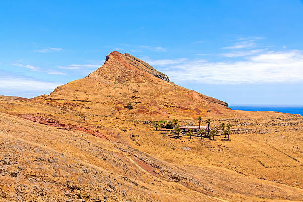 istock Madeira mountain landscape - ranch in desert with palms 499428388