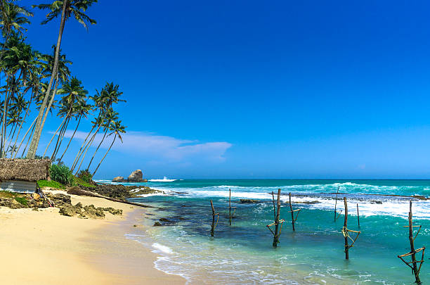 istock Tropical beach in Sri Lanka 499428734